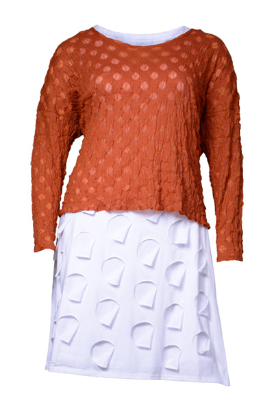 Boris Industries wijd shirt balletjes van licht transparante mesh met een speels balletjesmotief. Kort en wijd, ideaal om over een jurkje of pantalon te dragen.